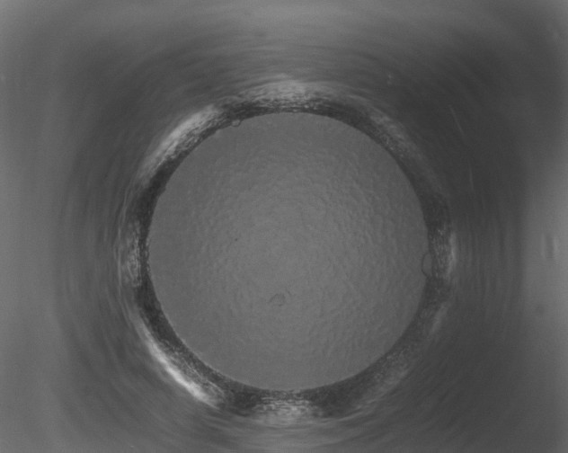 X0000085840642200703161352