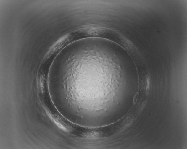X0000085840646200703161352