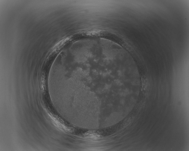 X0000085840648200703161352