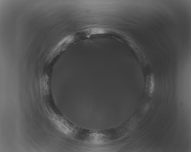 X0000085840650200703161352