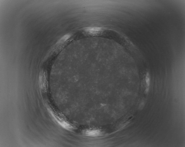 X0000085840651200703161352