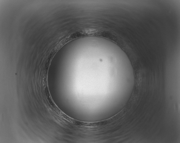 X0000085840653200703161352