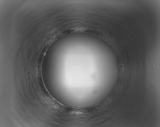 X0000085840655200703161352
