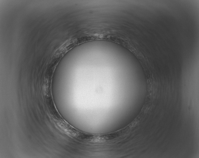 X0000085840656200703161352