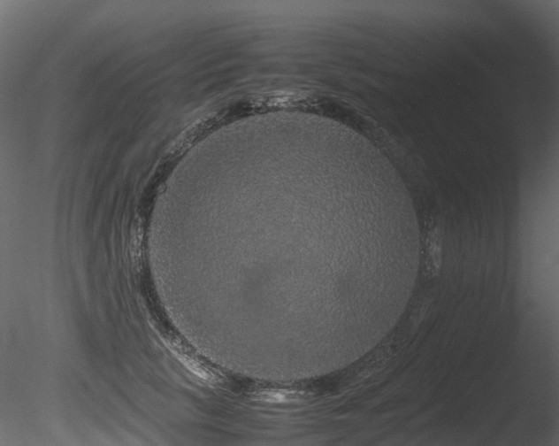 X0000085840657200703161352