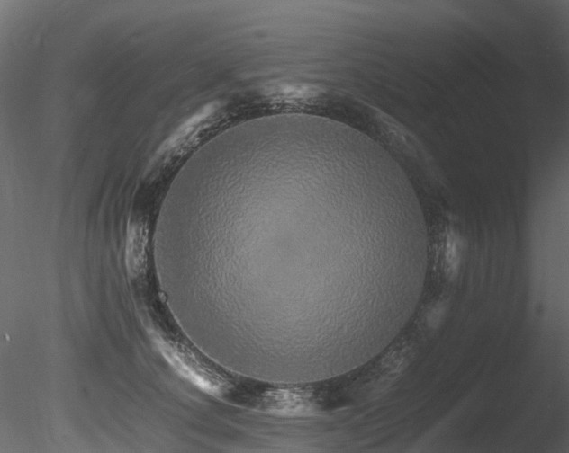 X0000085840660200703161352
