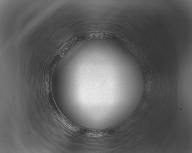 X0000085840661200703161352