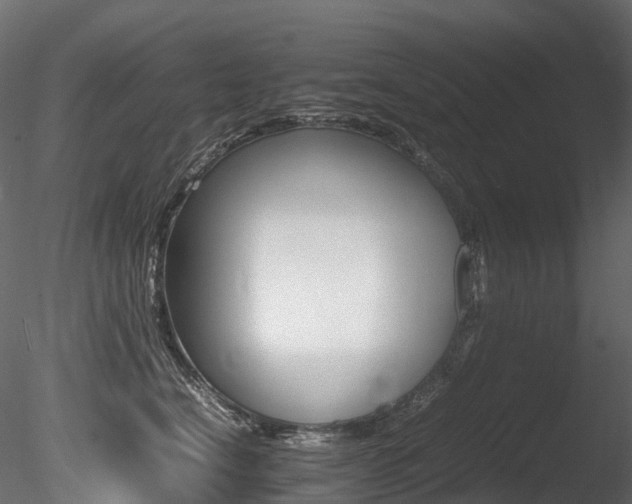 X0000085840664200703161352