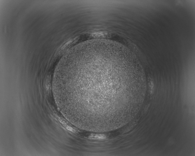 X0000085840665200703161352