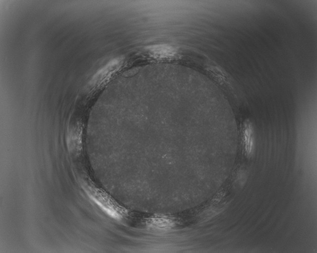 X0000085840668200703161352