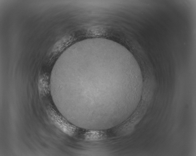 X0000085840672200703161352