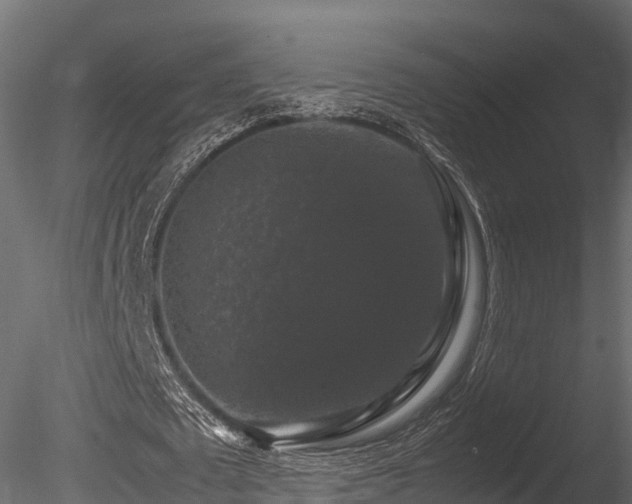 X0000085840673200703161351