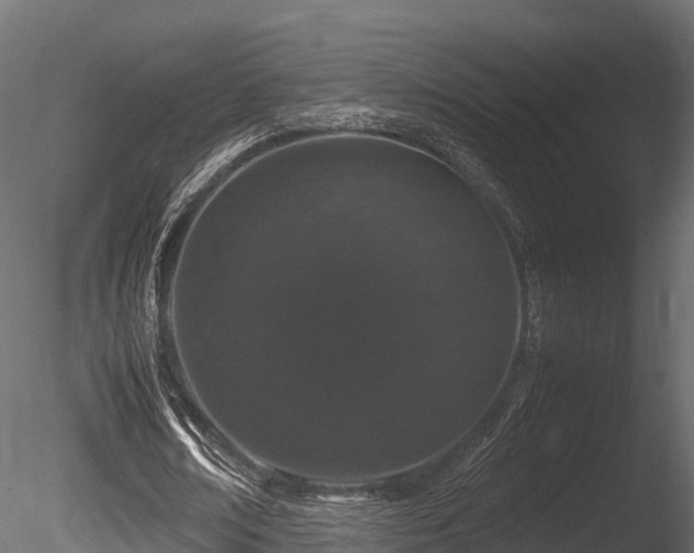 X0000085840674200703161351