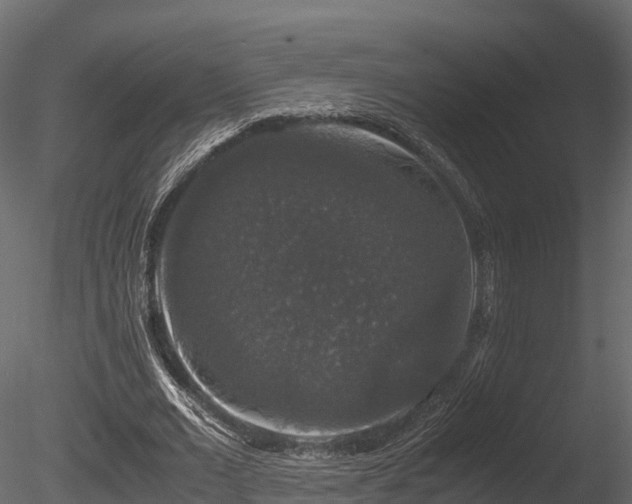 X0000085840677200703161351