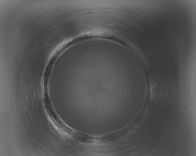 X0000085840678200703161351