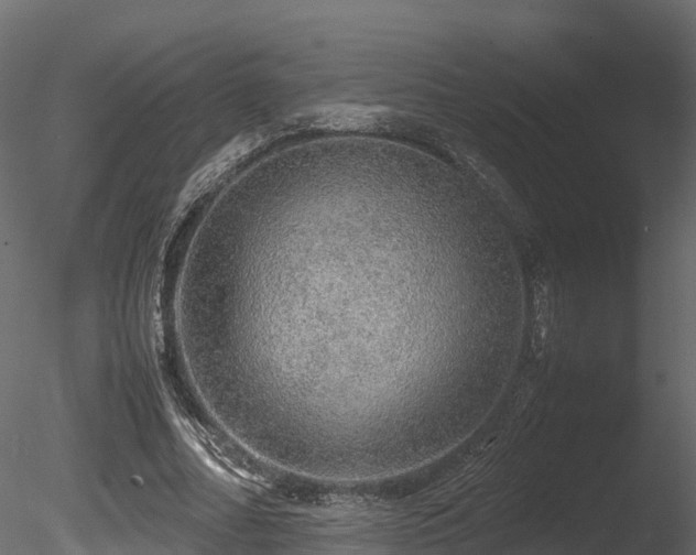 X0000085840682200703161351