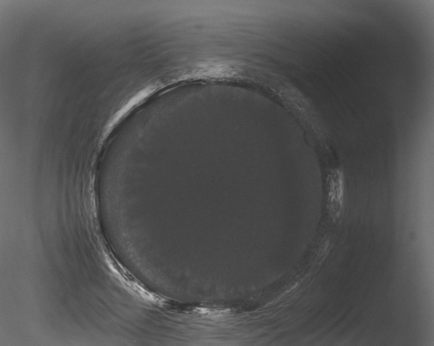X0000085840684200703161351