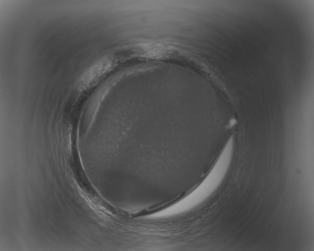 X0000085840685200703161351
