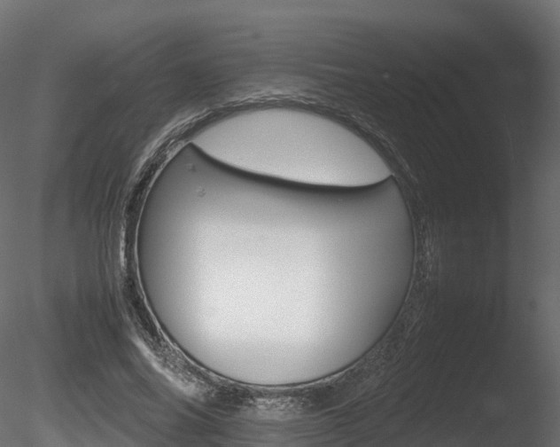X0000085840686200703161351