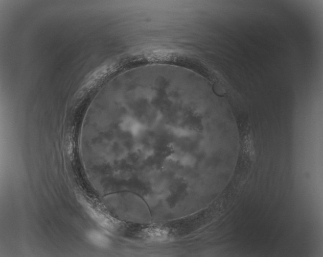 X0000085840687200703161351