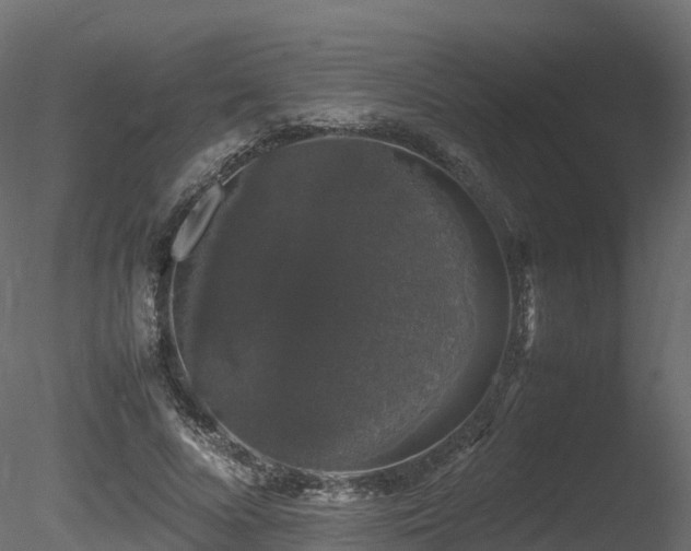 X0000085840688200703161351
