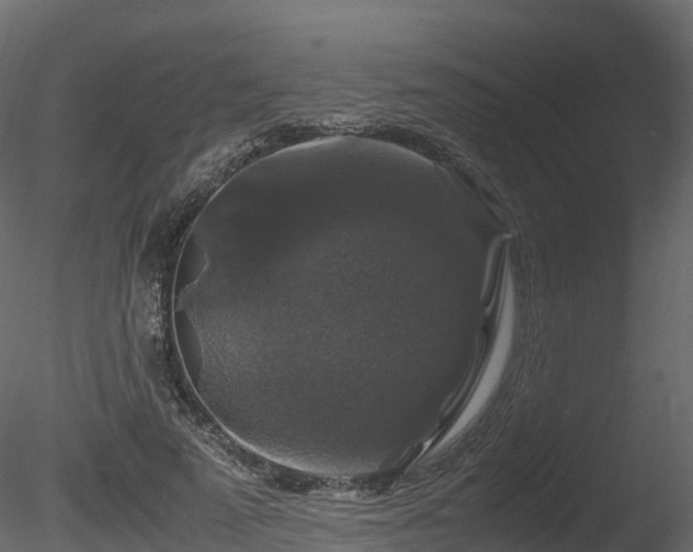 X0000085840689200703161351
