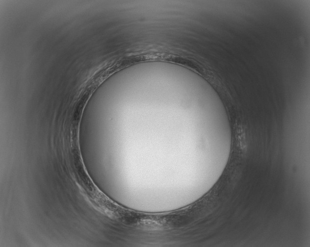 X0000085840690200703161351