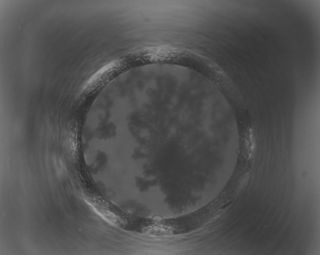 X0000085840691200703161351
