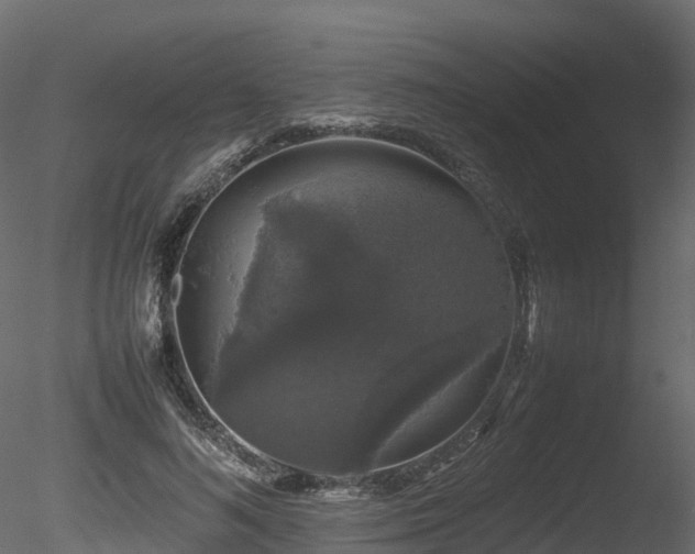X0000085840692200703161351