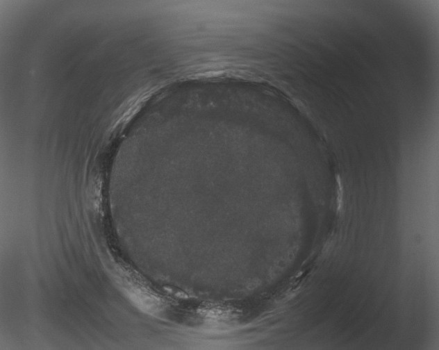 X0000085840693200703161351