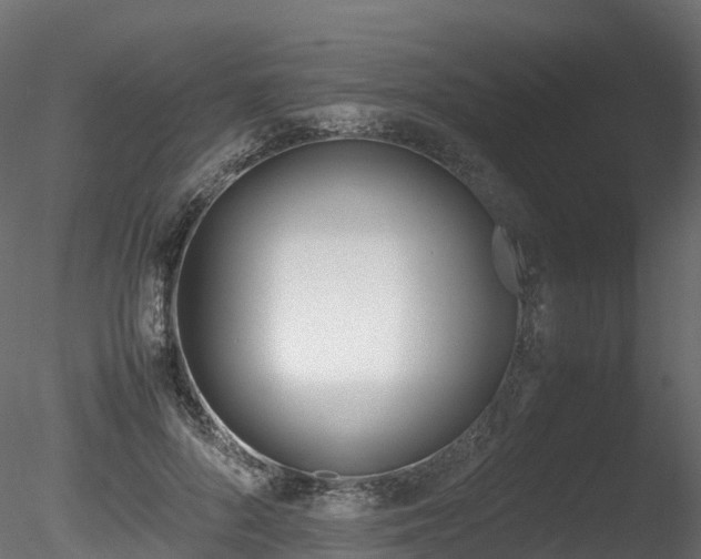 X0000085840696200703161351