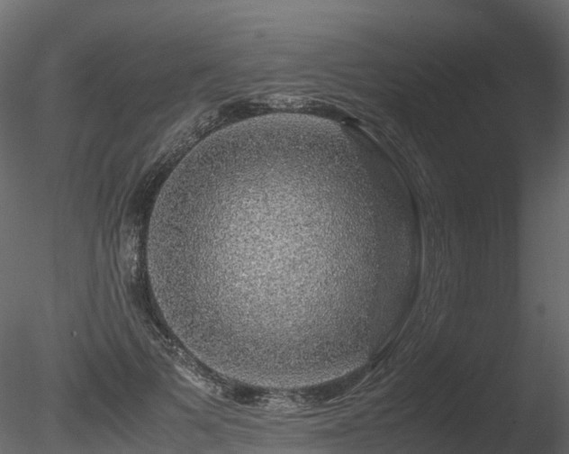 X0000085840697200703161351