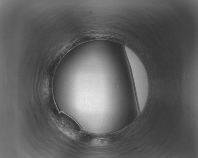 X0000085840700200703161351