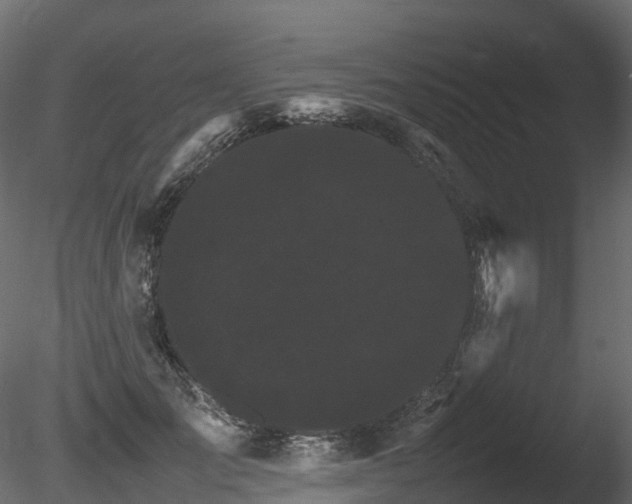X0000085840701200703161351
