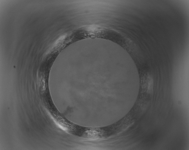 X0000085840703200703161351