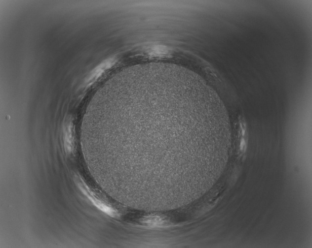 X0000085840704200703161351