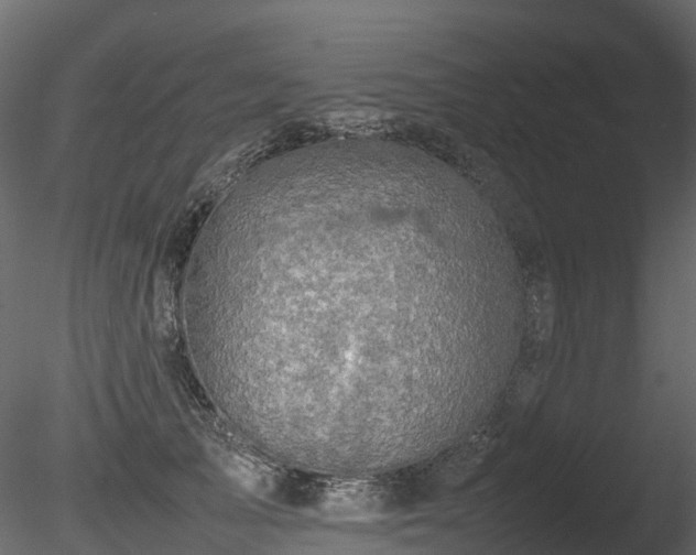 X0000085840705200703161351