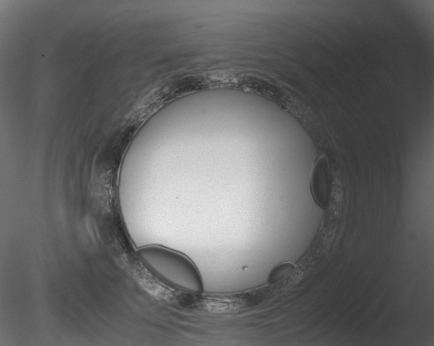 X0000085840707200703161351