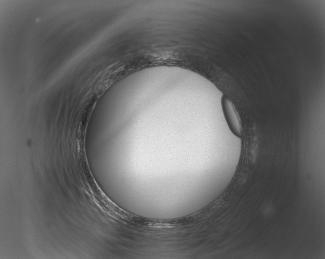X0000085840710200703161351