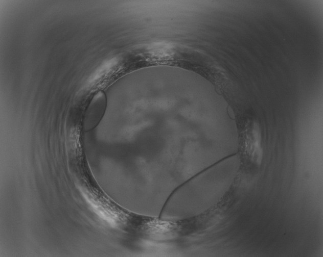 X0000085840711200703161351