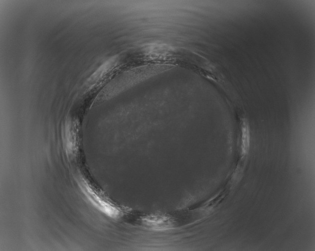 X0000085840712200703161351