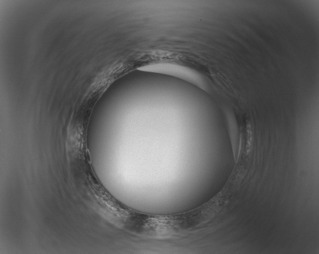 X0000085840713200703161351