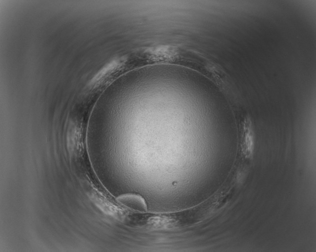 X0000085840714200703161351
