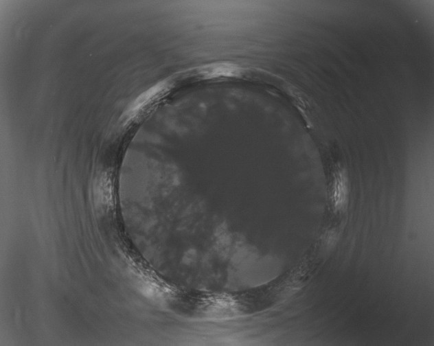 X0000085840715200703161351