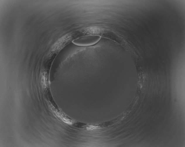 X0000085840718200703161351