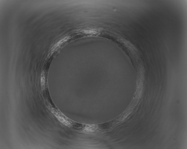 X0000085840720200703161351