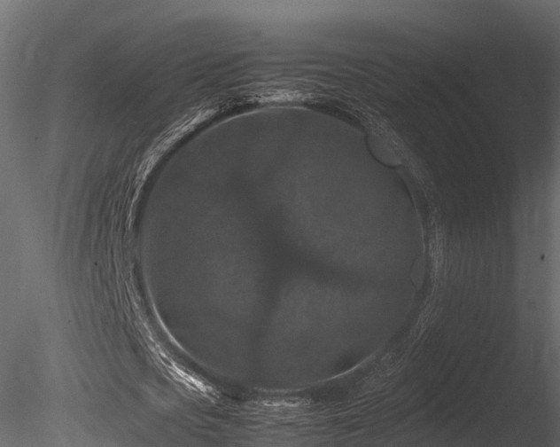 X0000085840721200703161350