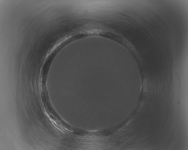 X0000085840722200703161350