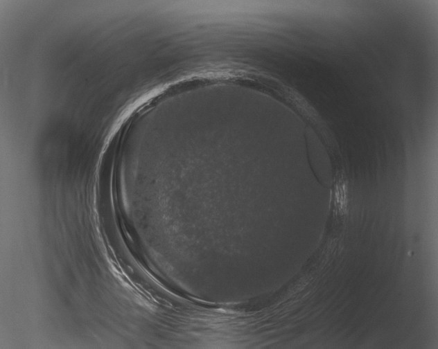 X0000085840724200703161350