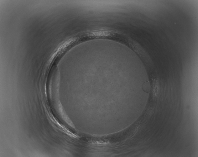 X0000085840731200703161350